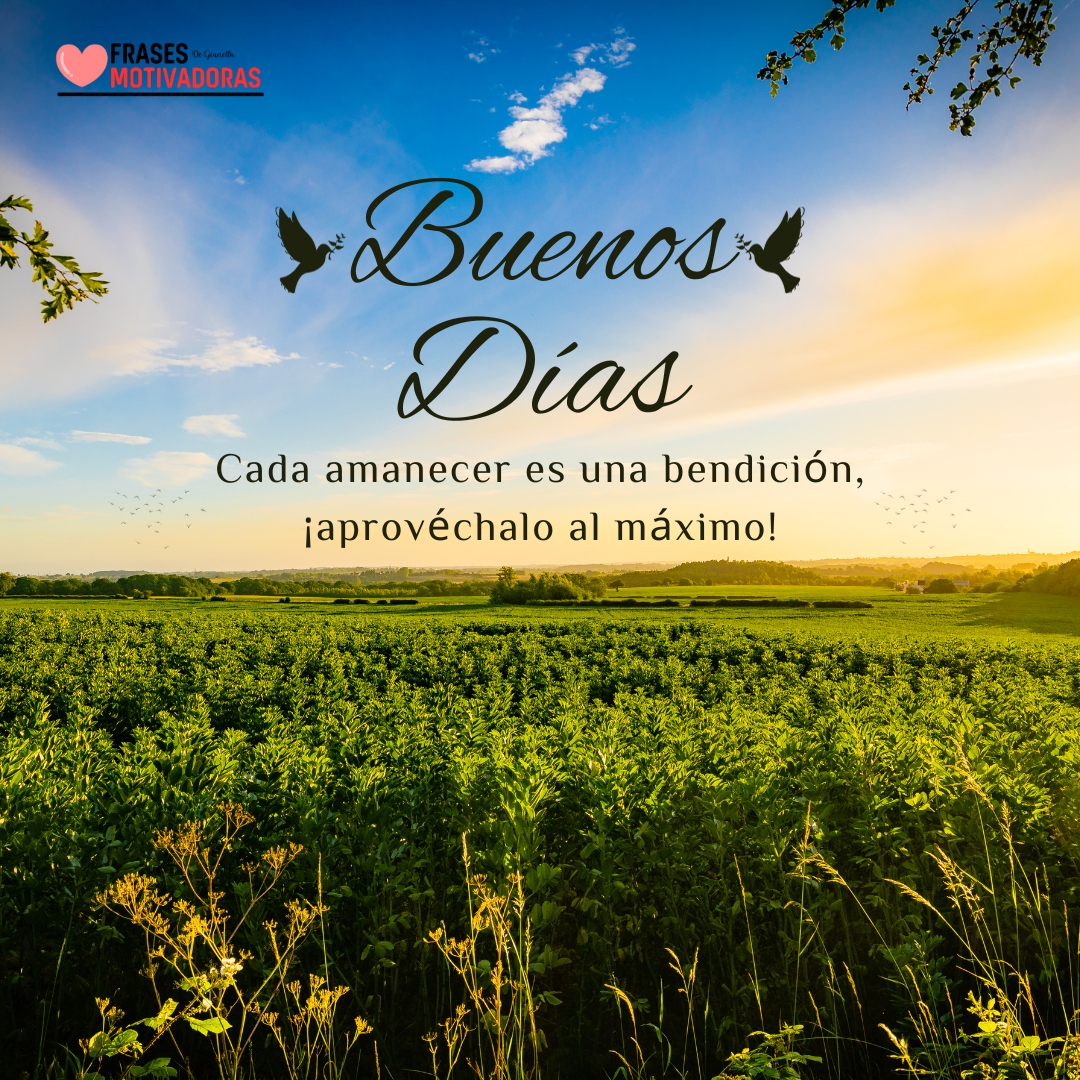 Frases Motivadoras De Buenos Días Positivas E Inspiradoras